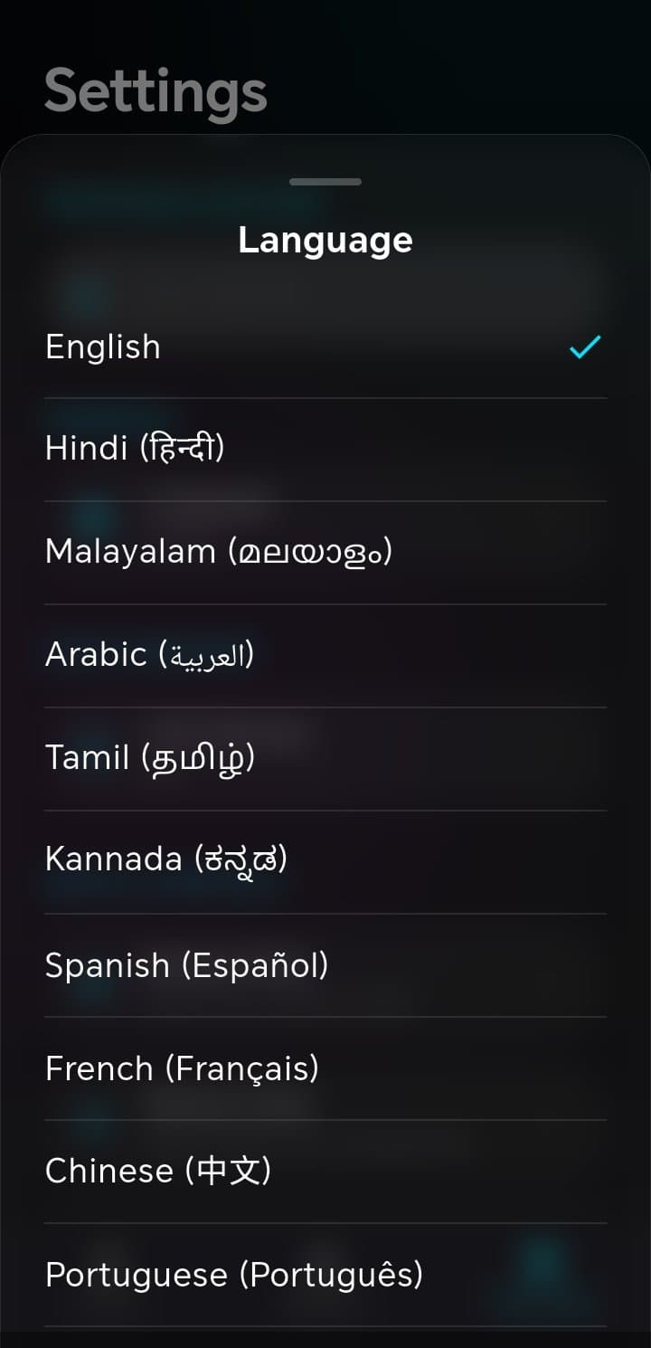Expense Tracker language support
